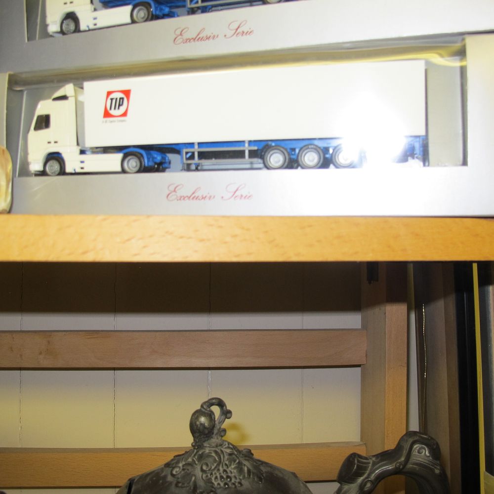 Lot 783: A Exclusive Serie Scale Model Transport Truck