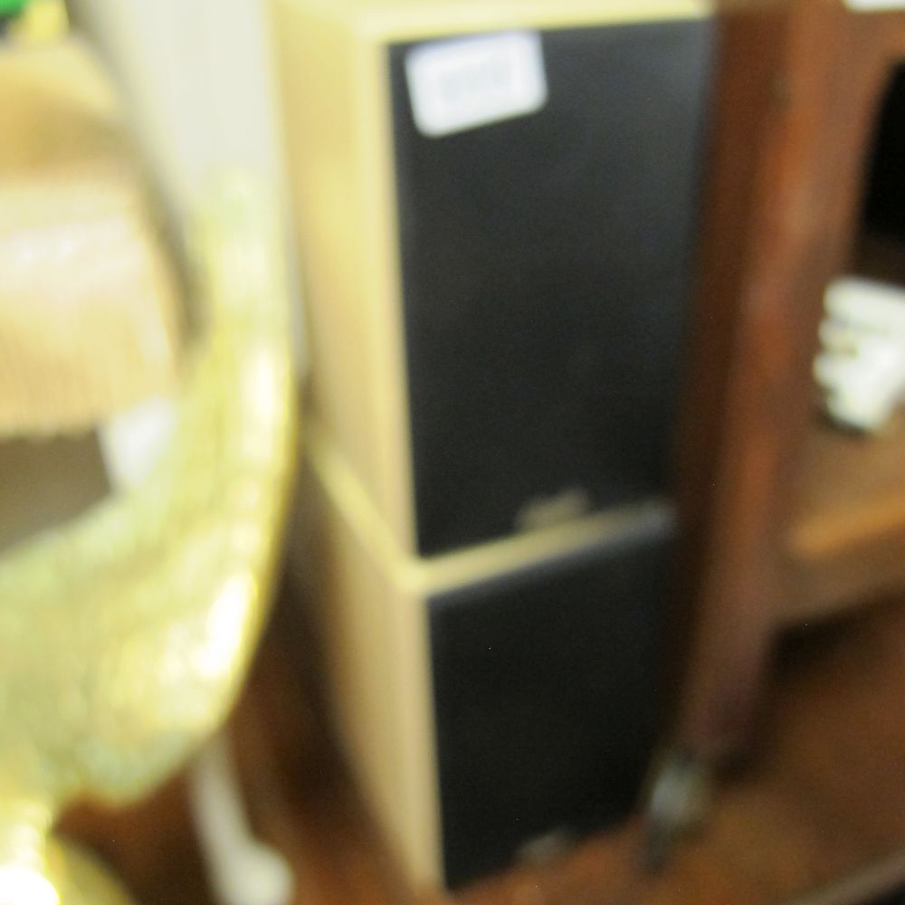 Lot 855: A Pair of Bookshelf Speakers with Light-Toned Cabinets