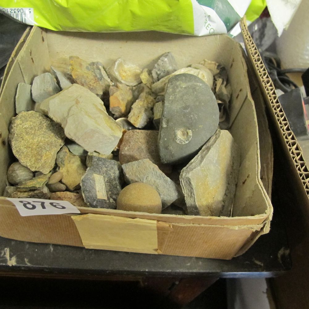 Lot 876: An Assortment of Stone Artifacts 