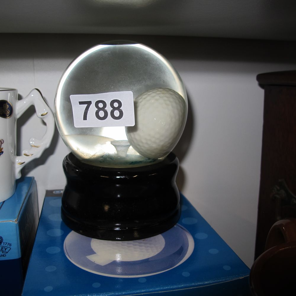 Lot 788: Funtime Tee Off Golf Ball Water Globe Skill...
