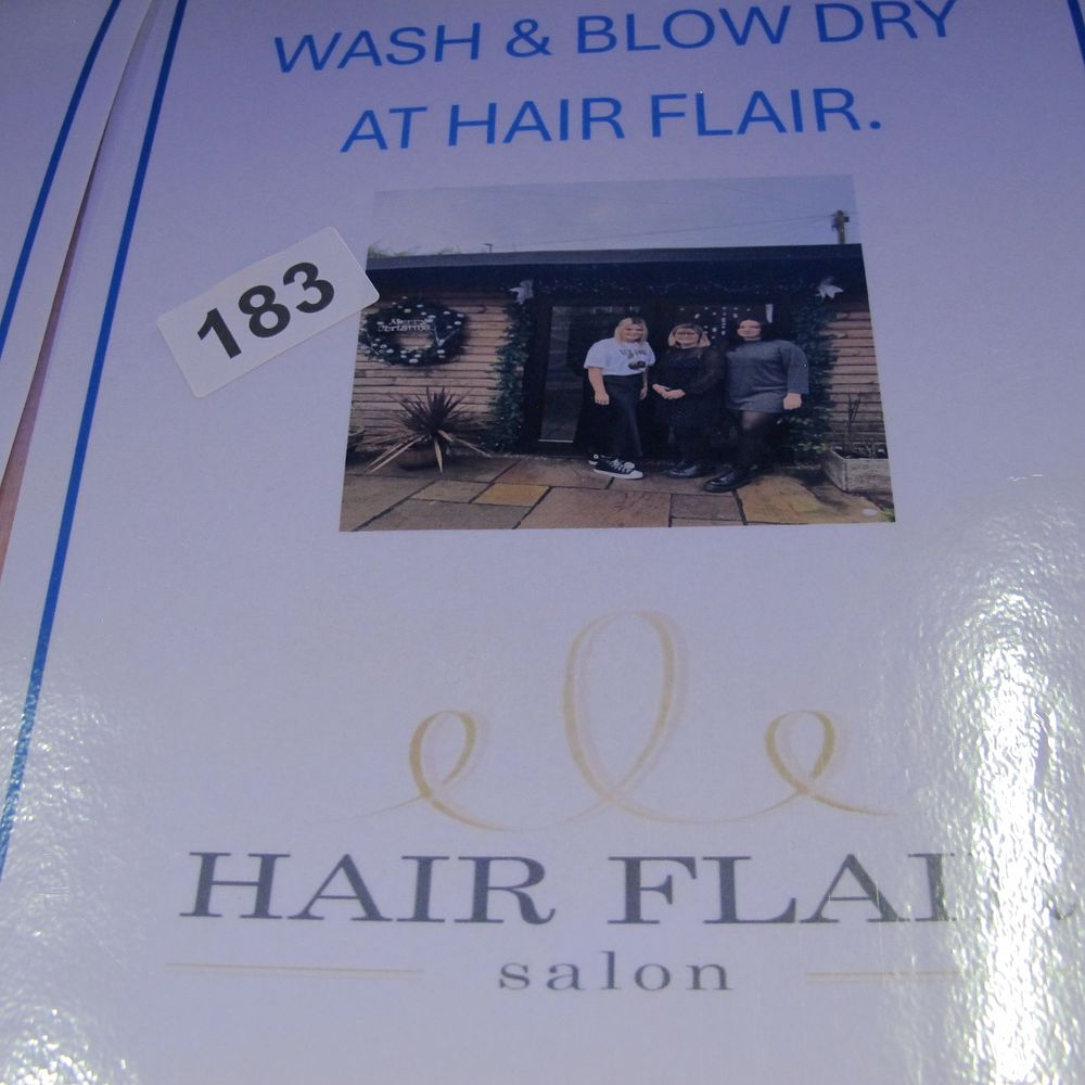 Lot 183: Promotional Voucher for a Wash and Blow Dry...