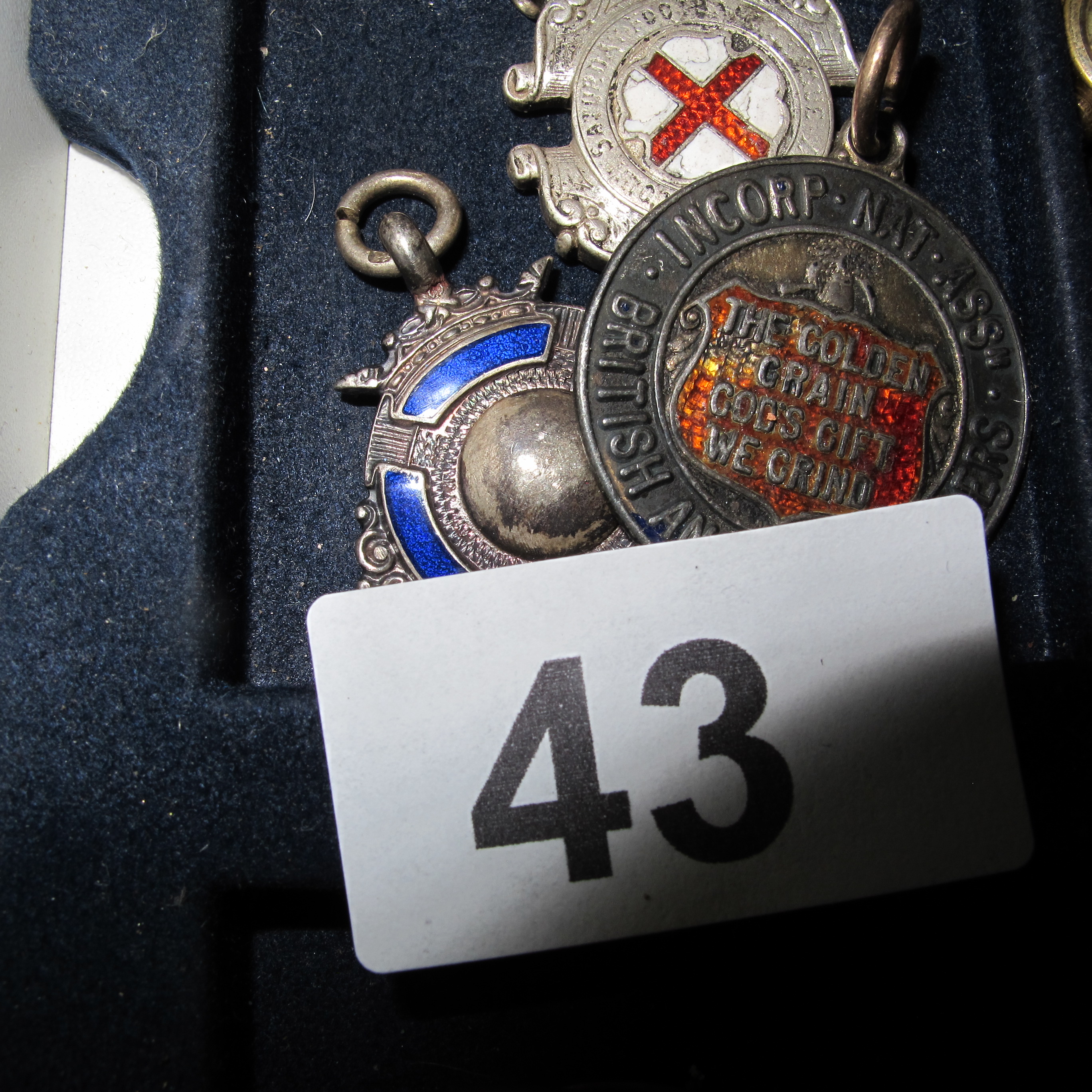 Lot 43