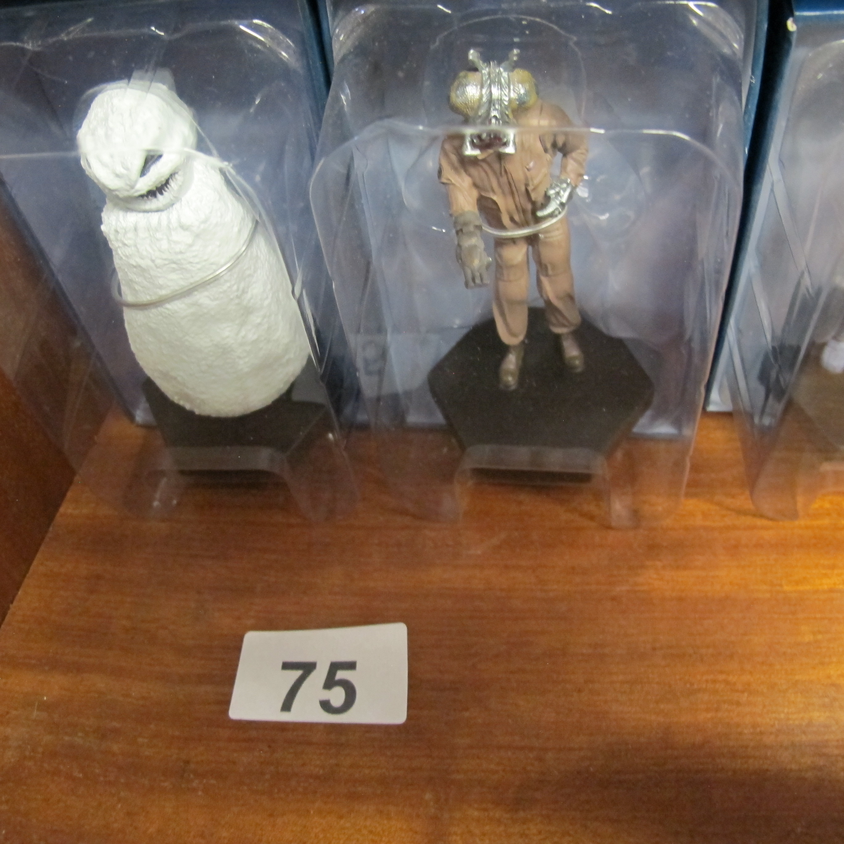 Lot 75