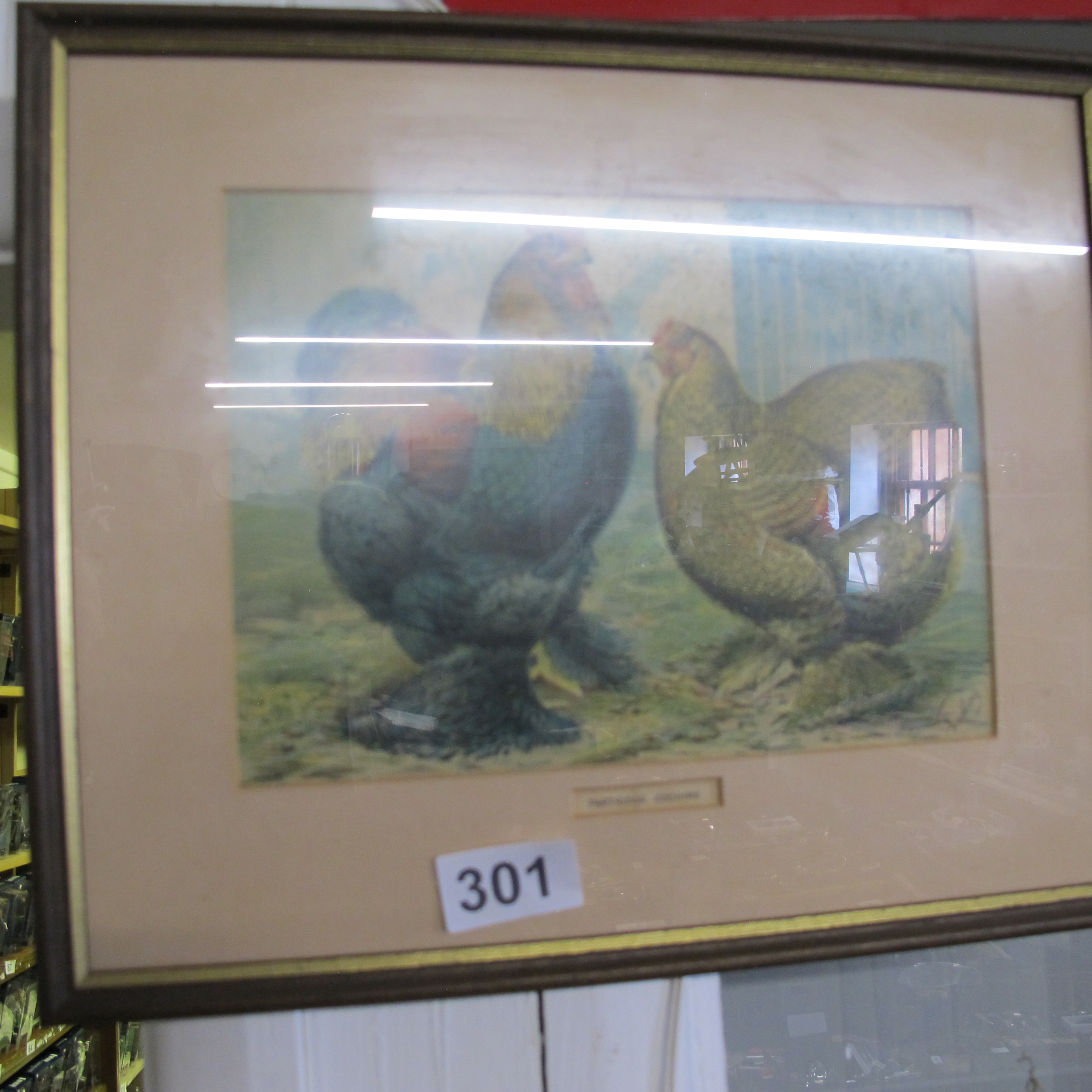 Lot 301