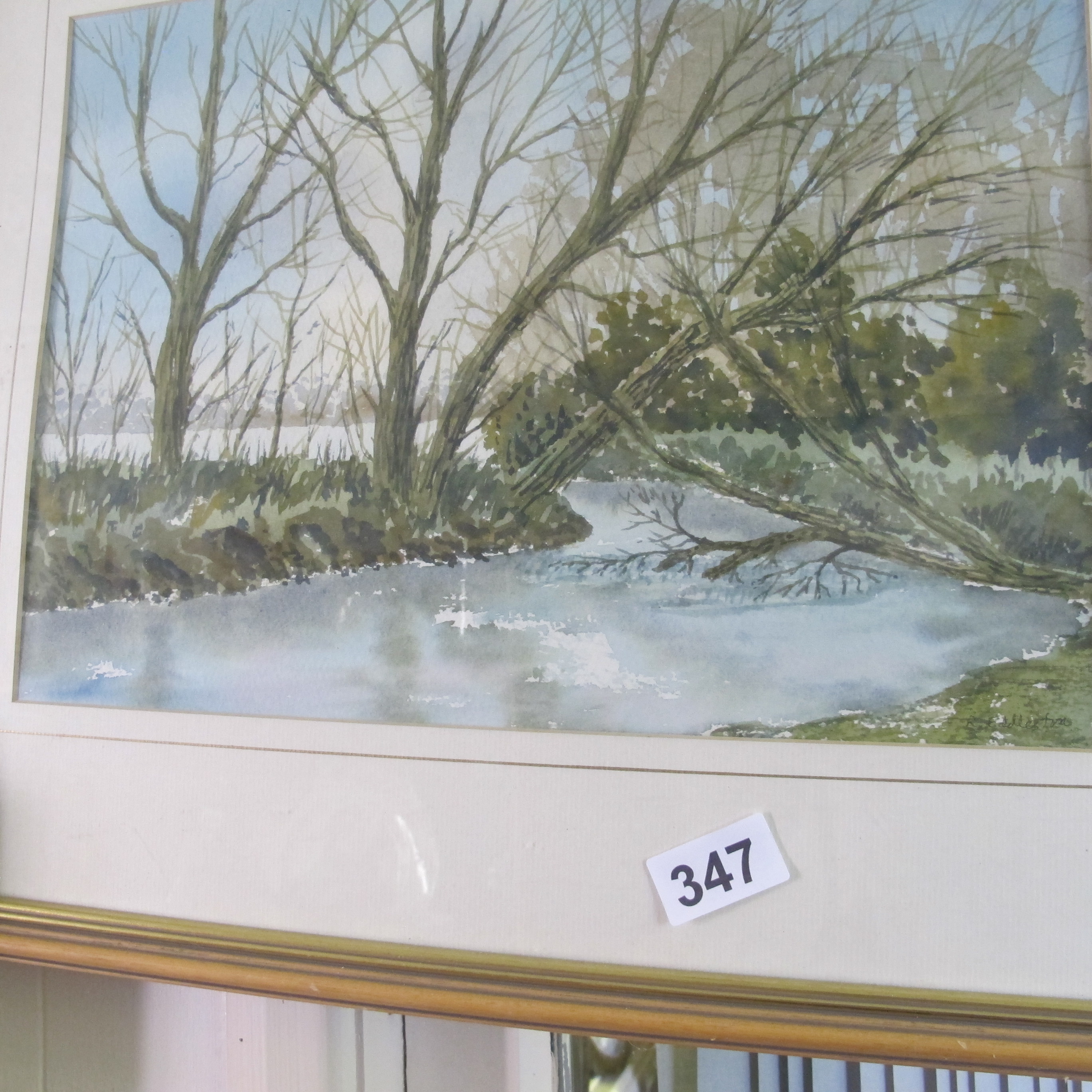 Lot 347