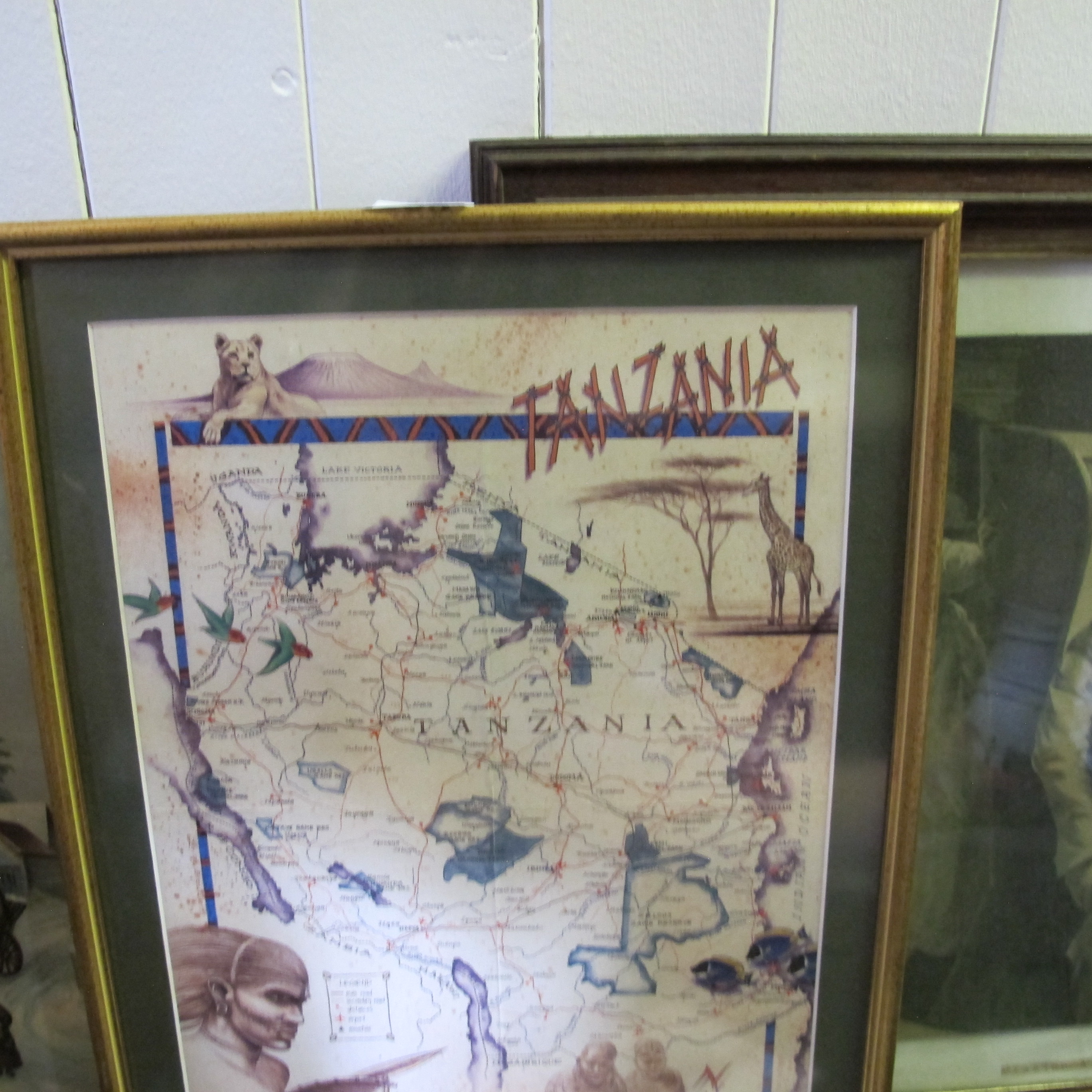 Lot 353