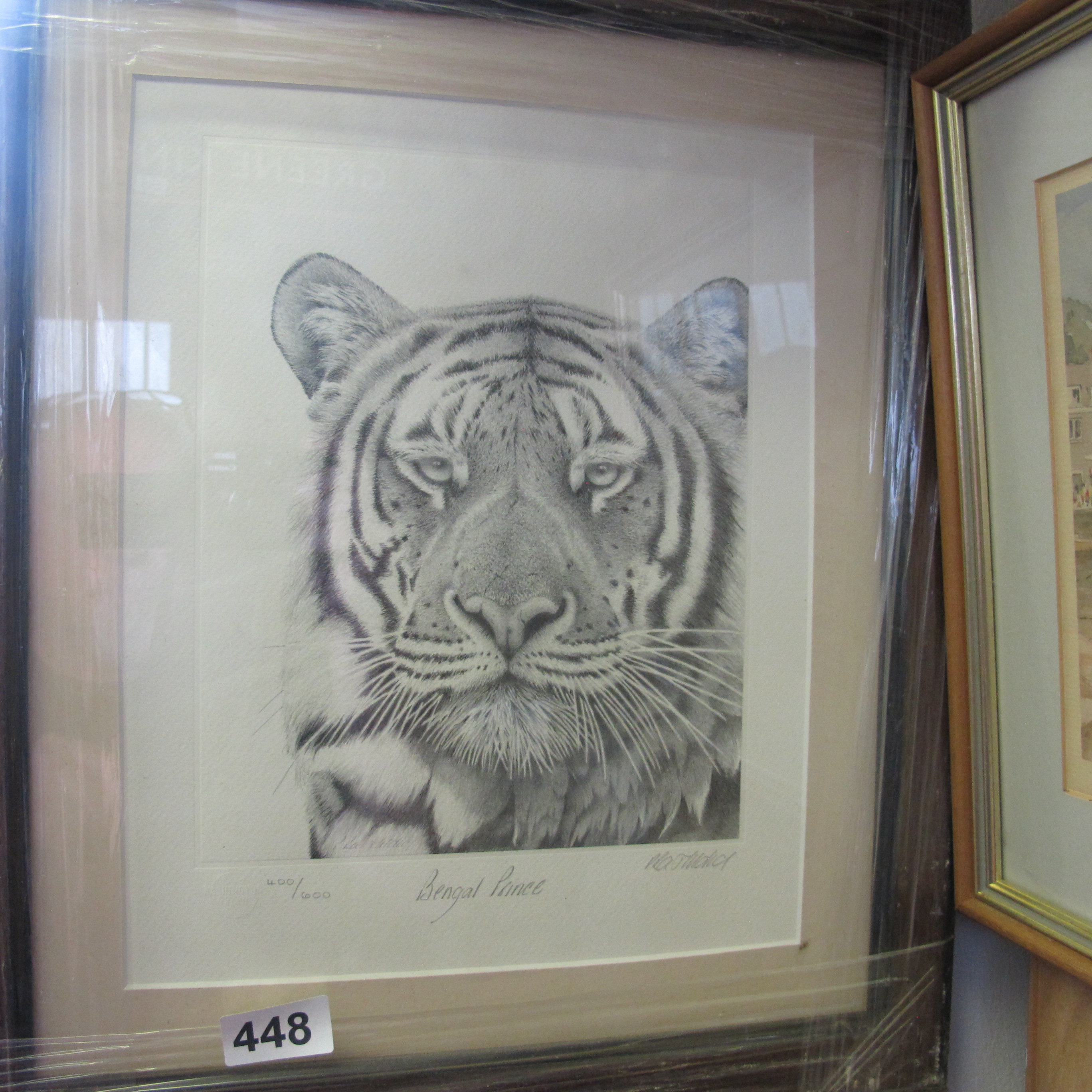Lot 448