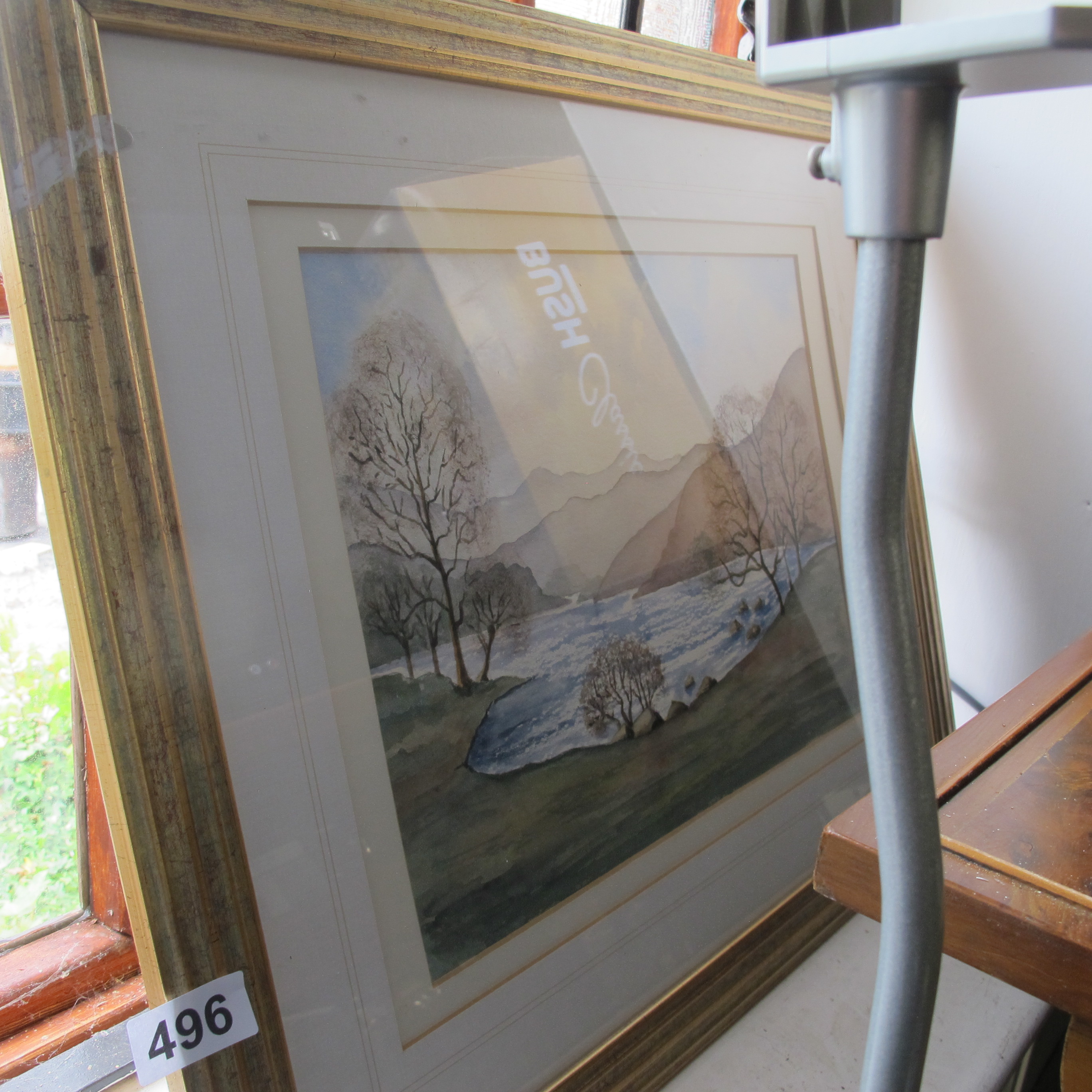 Lot 496