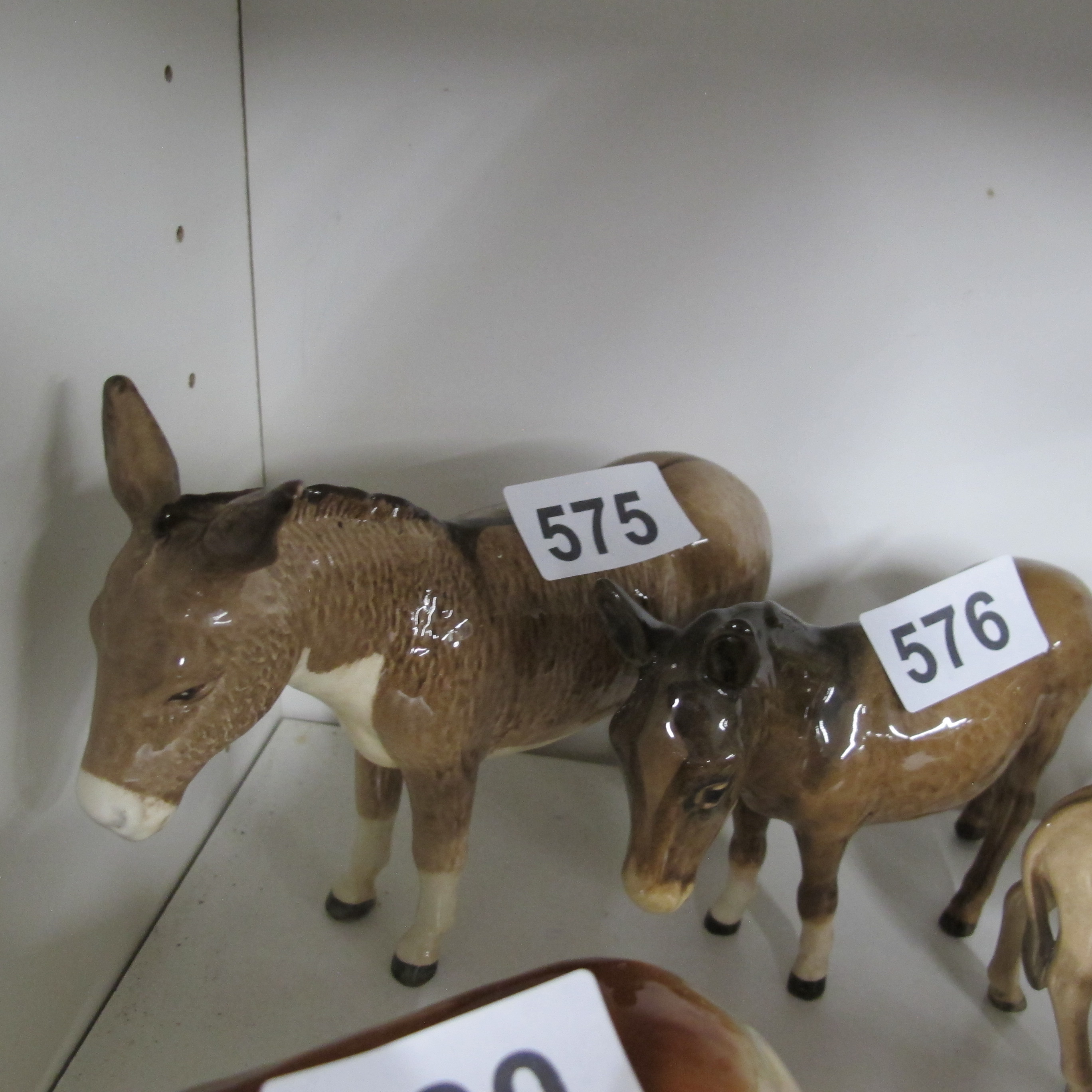 Lot 575