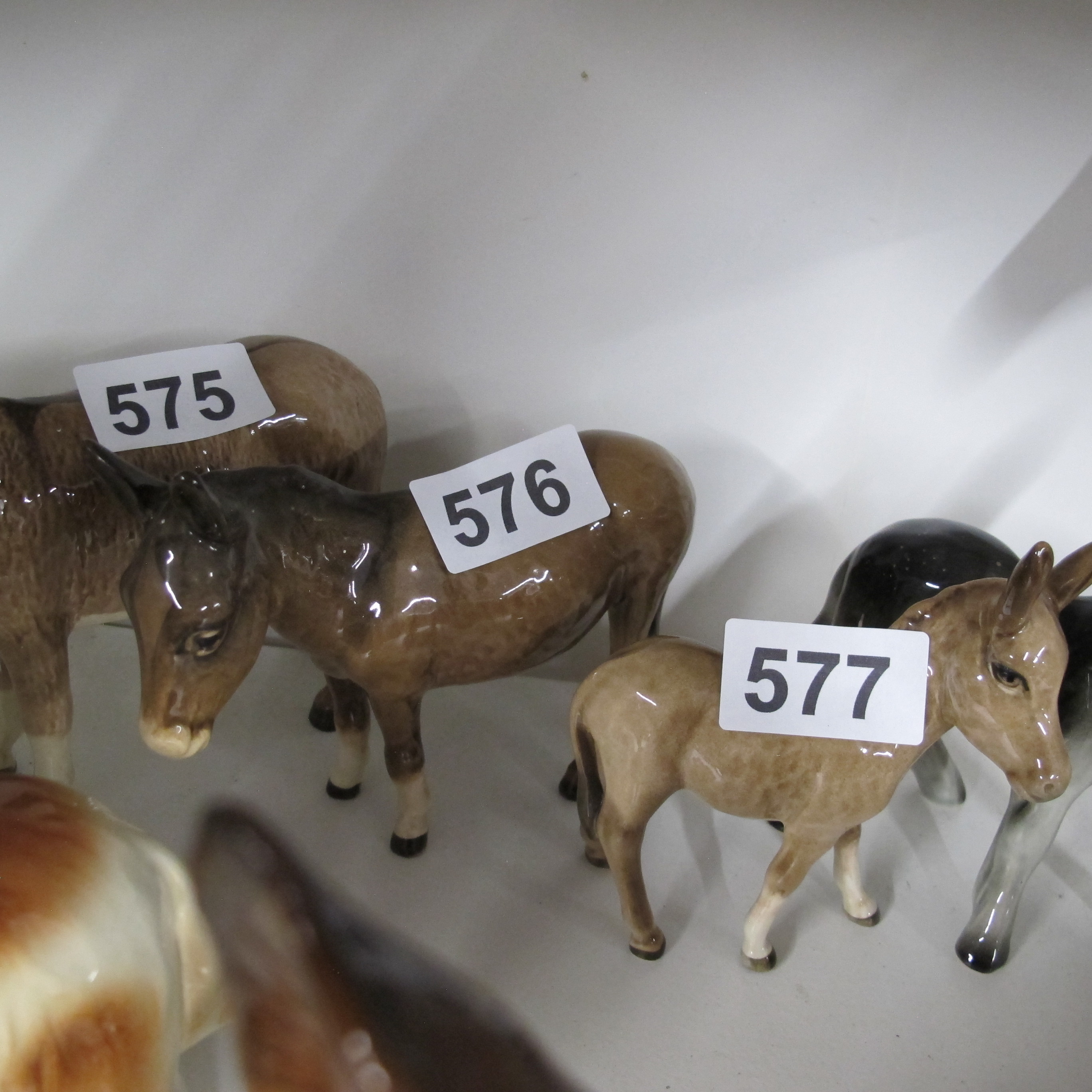 Lot 576