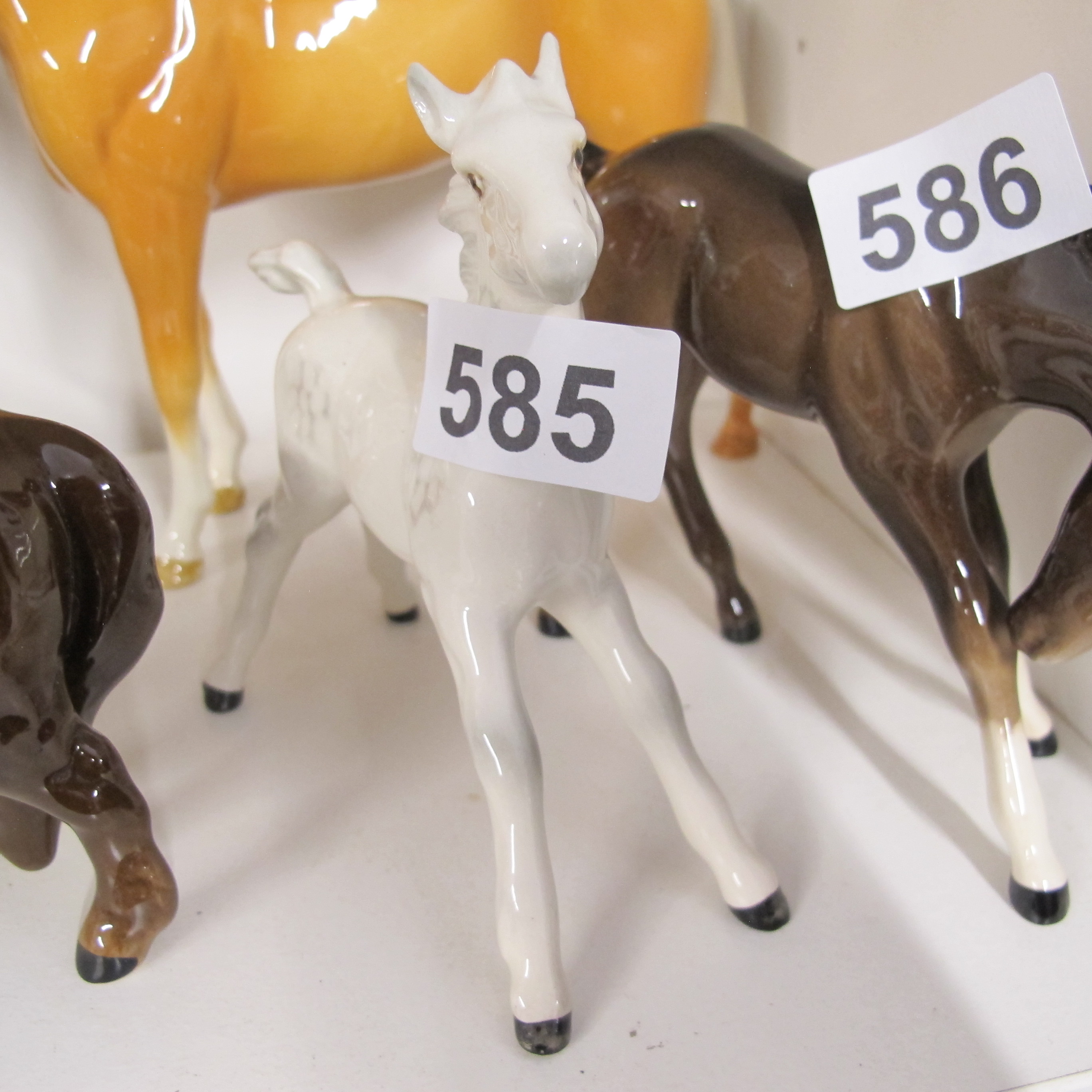 Lot 585