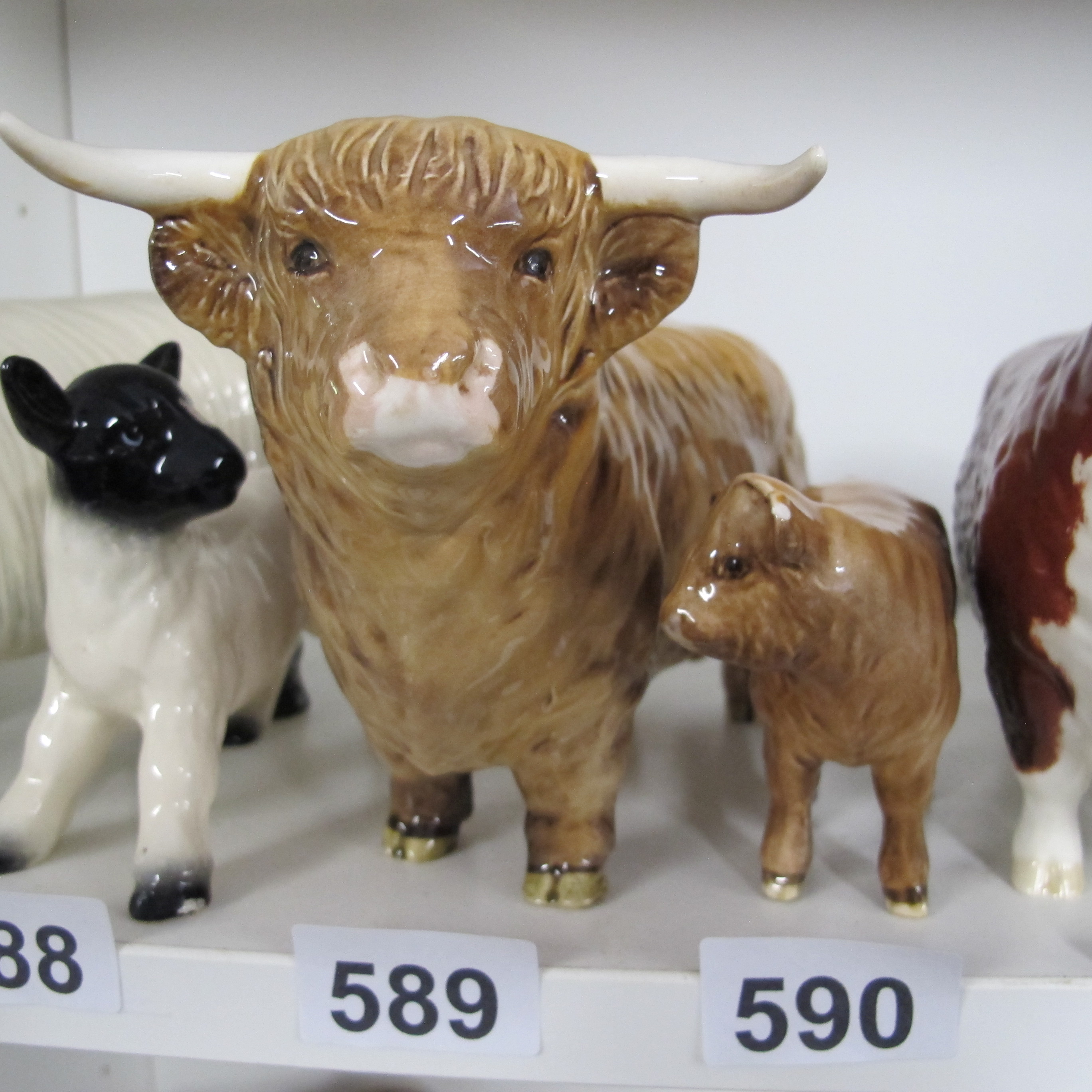 Lot 589