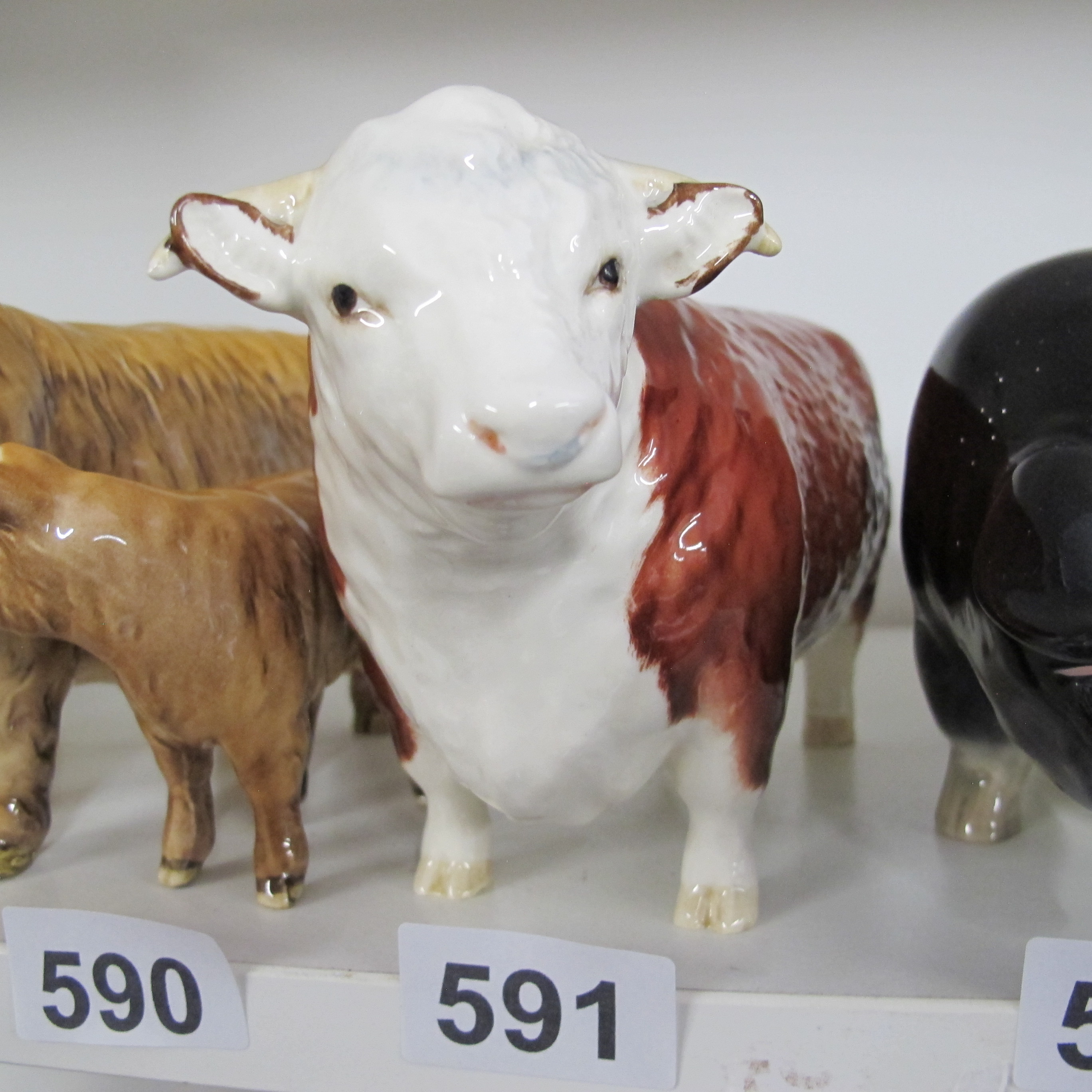 Lot 591