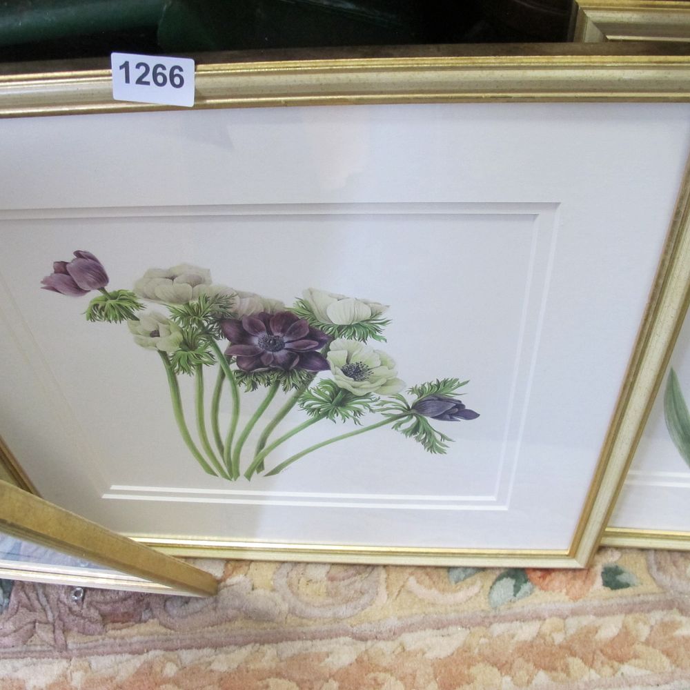 Lot 1265: Botanical Watercolour Study of Anemones