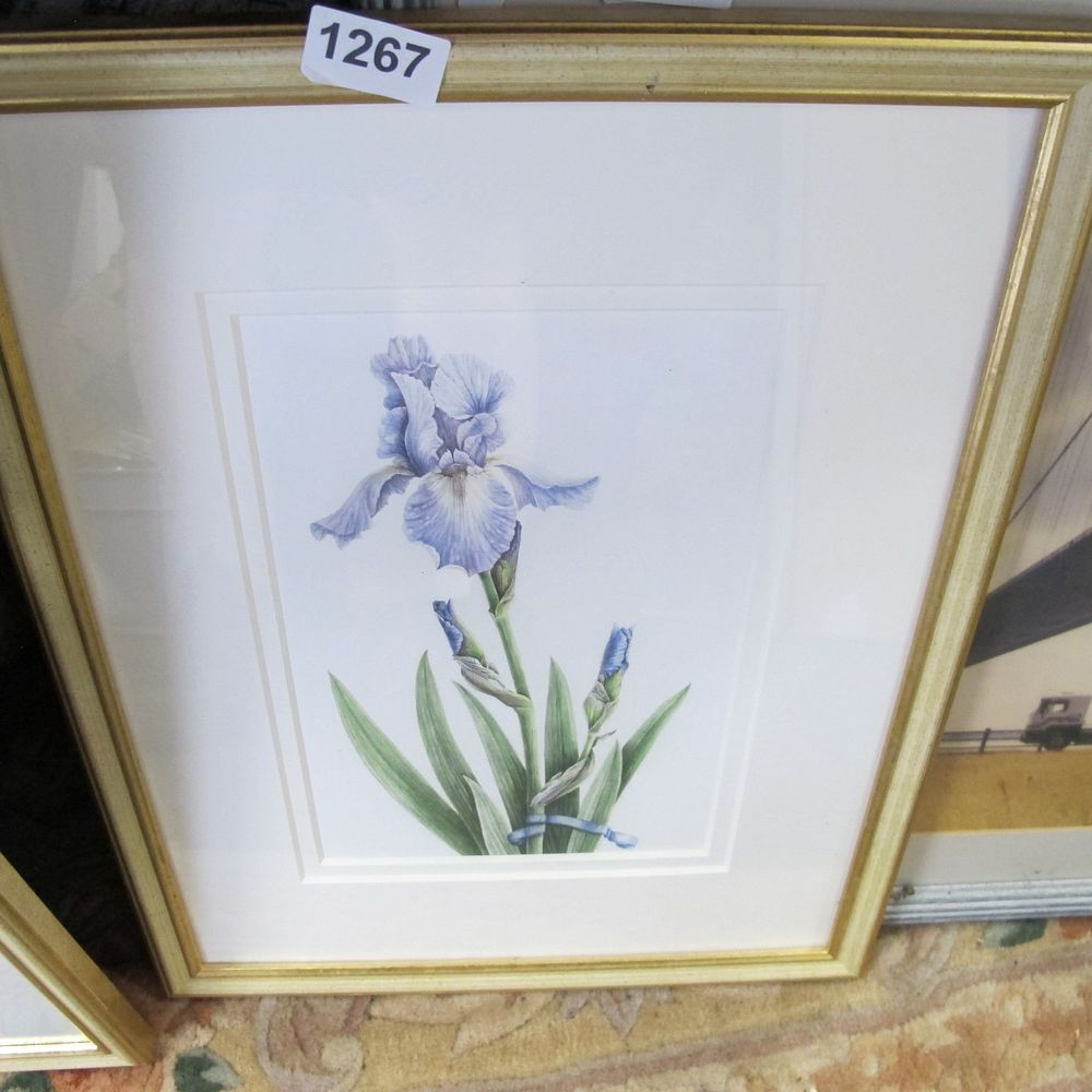 Lot 1266: A Botanical Watercolour of a Blue Iris