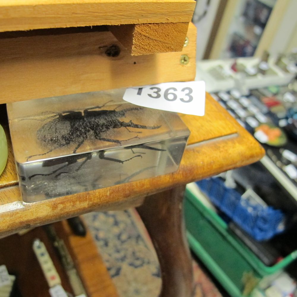 Lot 1363: A Large Long-horn Beetle Specimen in a Resin...