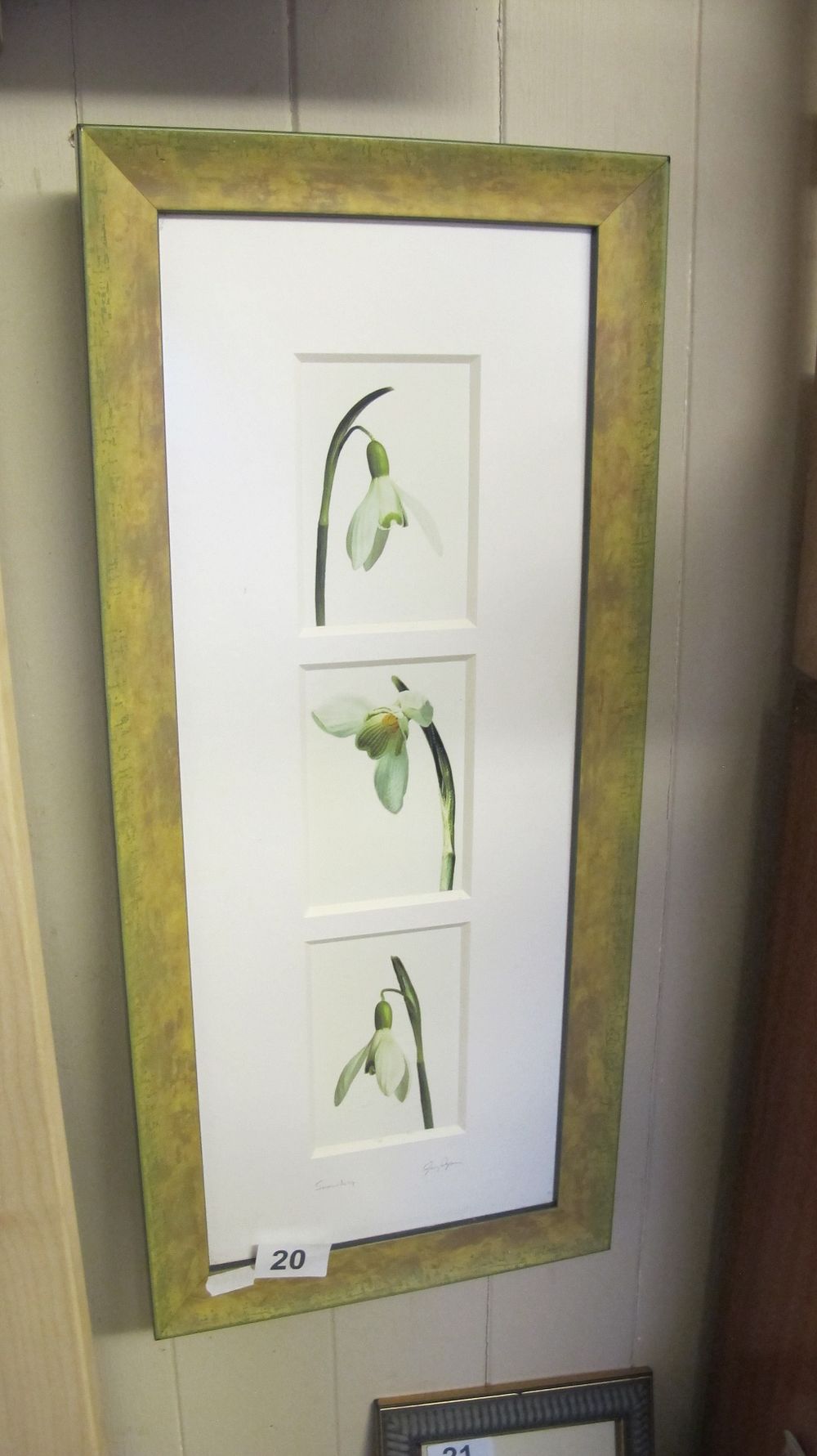 Lot 20: S. Andrews, A Trio of Botanical Watercolour Studies of Snowdrops