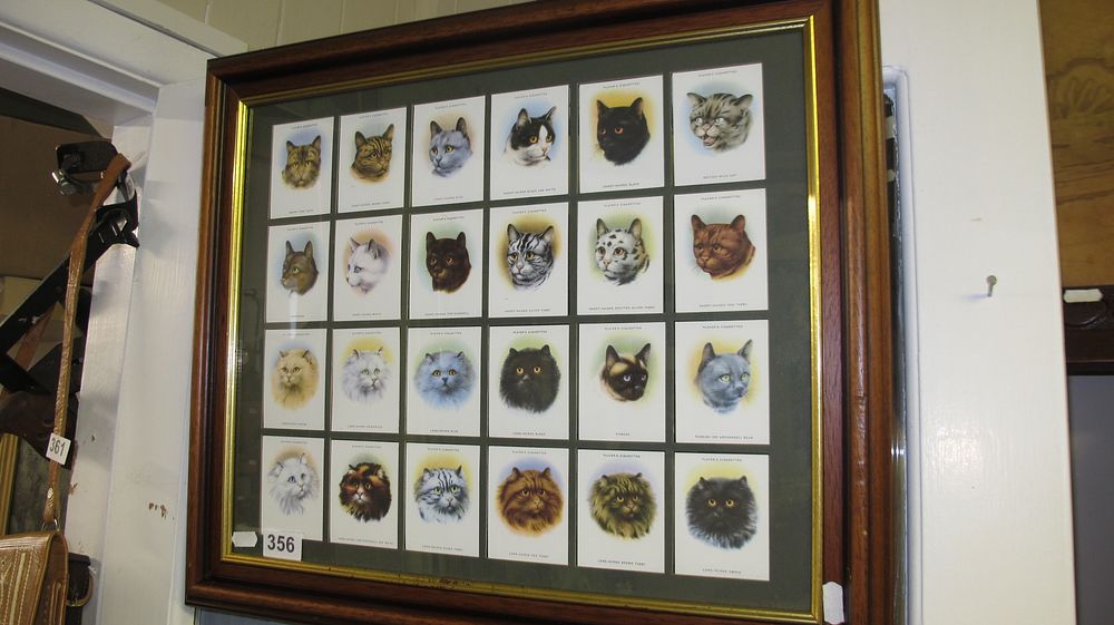 Lot 356: A Framed Collection of 24 John Player and Sons Cats Cigarette Cards