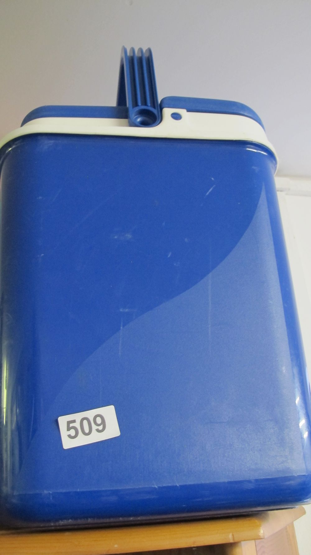 Lot 509: A Portable Blue Insulated Plastic Cool Box