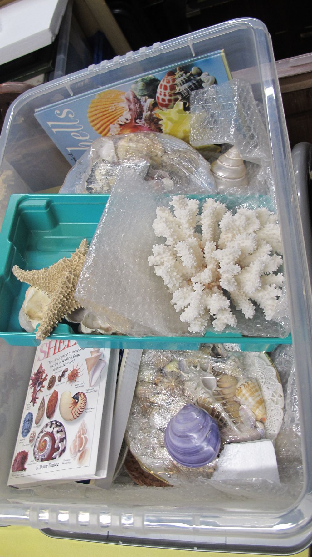 Lot 1092: A Collection of Marine Natural History Specimens and Related Literature