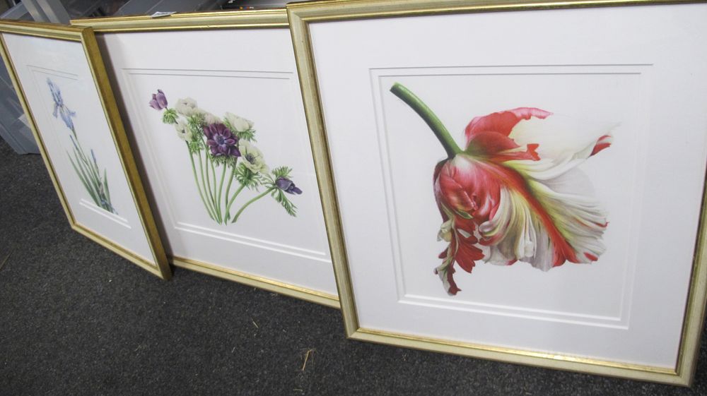 Lot 1097: A Trio of Framed Botanical Prints After Watercolours