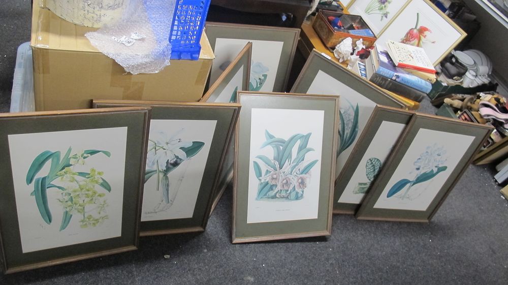 Lot 1147: A Collection of Framed Botanical Orchid Prints
