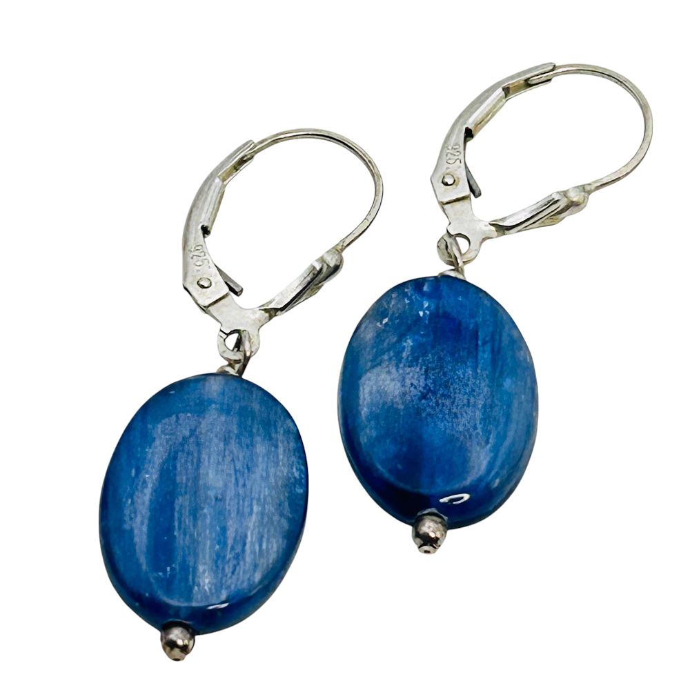 Lot 216: SILPADA Blue Spinal Hinge Back Dangle Earrings 4.6 G