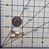 Pearl Sterling Silver Earrings 4.8 GImage - 3