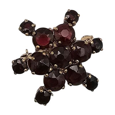 Bohemian Garnet Gold Tone Star Brooch