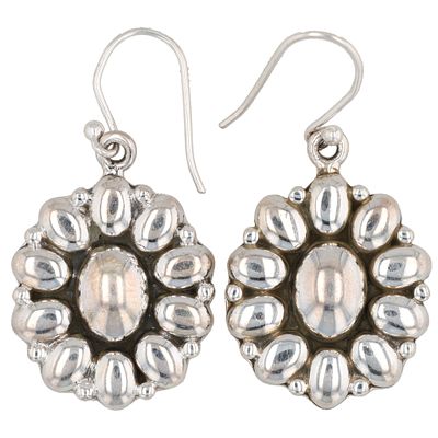 HaDa Collection Sterling Silver Hook Earrings 8g