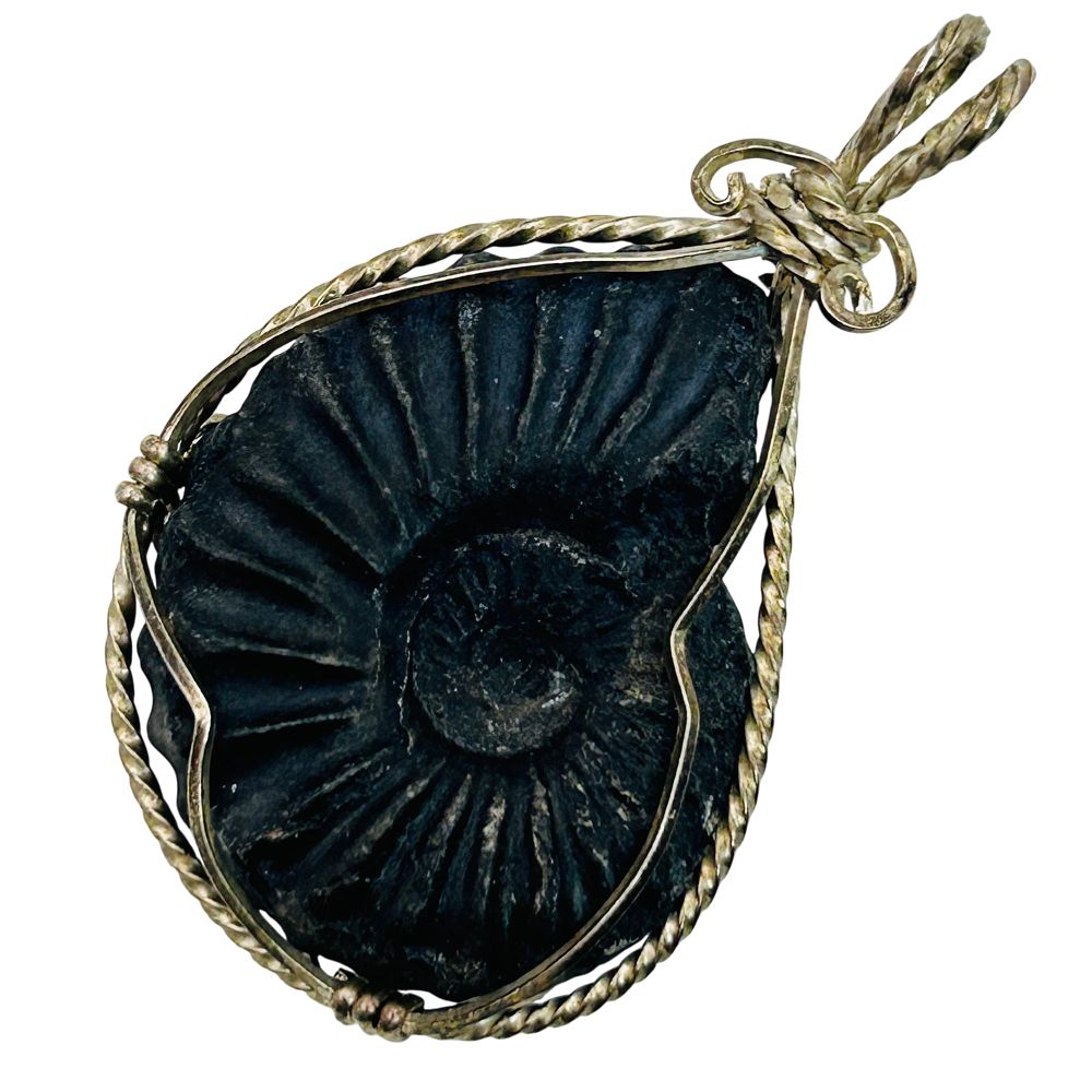 Lot 466: Sterling Ammonite Fossil Pendant