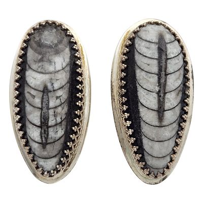 Signed Designer Sterling Orthoceras Fossil Earrings. Amazing Signed CDS? Artisan/Designer 