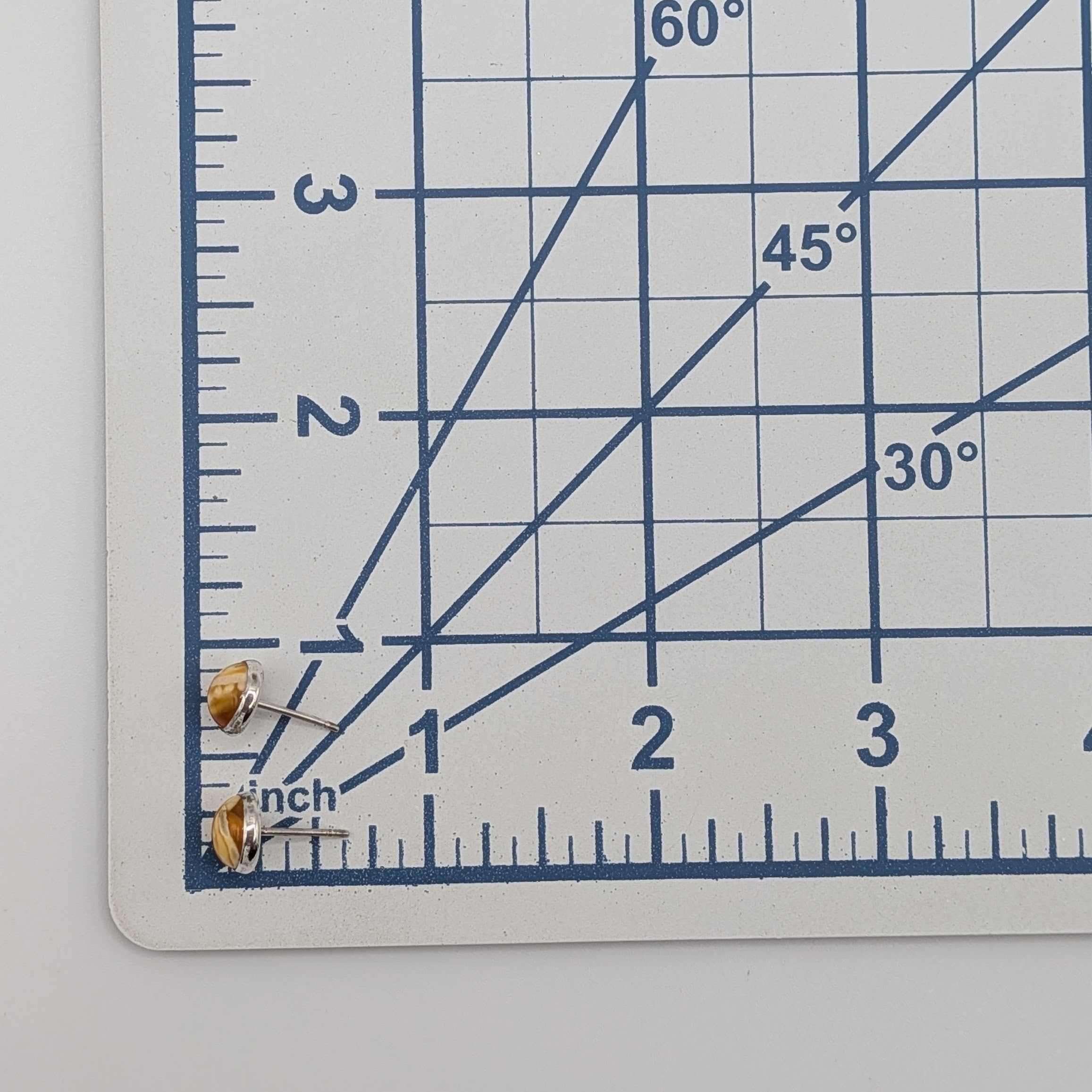 Sterling Silver Butterscotch Amber Bezel Set Stud Earrings