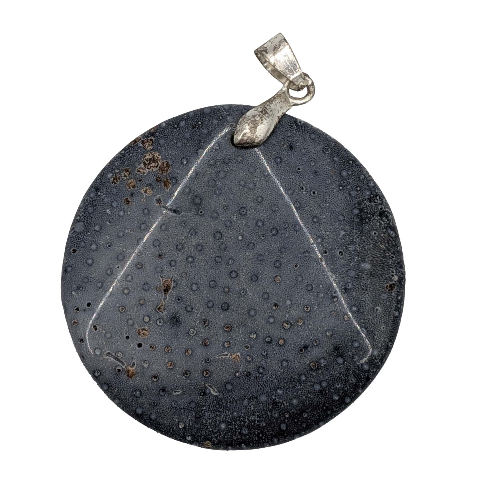 Sterling Silver Fossilized Blue Coral Carved Pendant