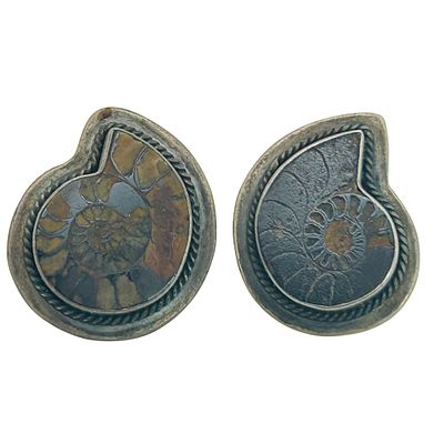 Sterling Ammonite Fossil Earrings. Sterling ammonite fossil earrings. 11.4g