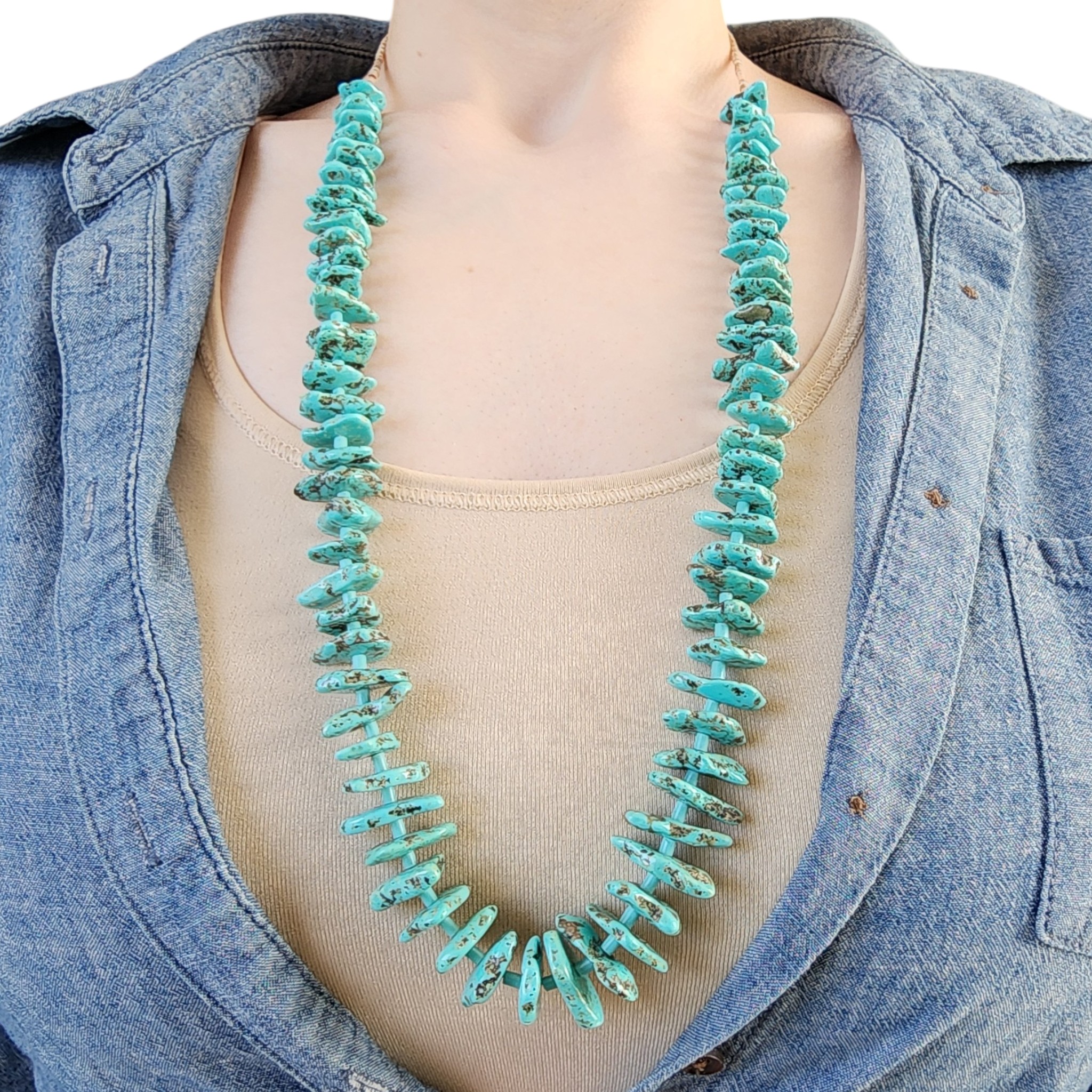 Reyes Garcia Santo Domingo Sterling Kingman Turquoise Heishi Necklace