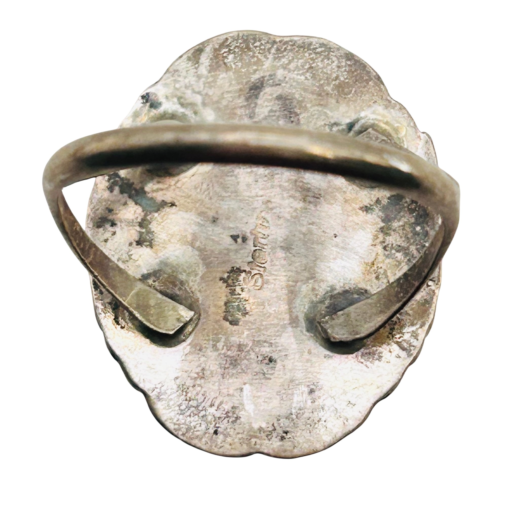 Frank Yazzie Navajo Sterling Compressed Stone Ring Sz 9
