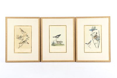 Ornithological bird study lithographic print plates by John James Audubon and J.T. Bowen, 3pc. 
