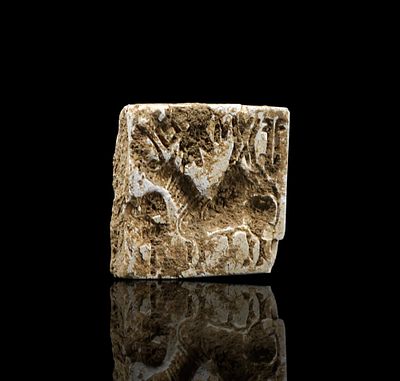 Authentic Stone Stamp-Seal, Harappa, Indus Valley Civilization, Ancient City, Indus script, Indian.