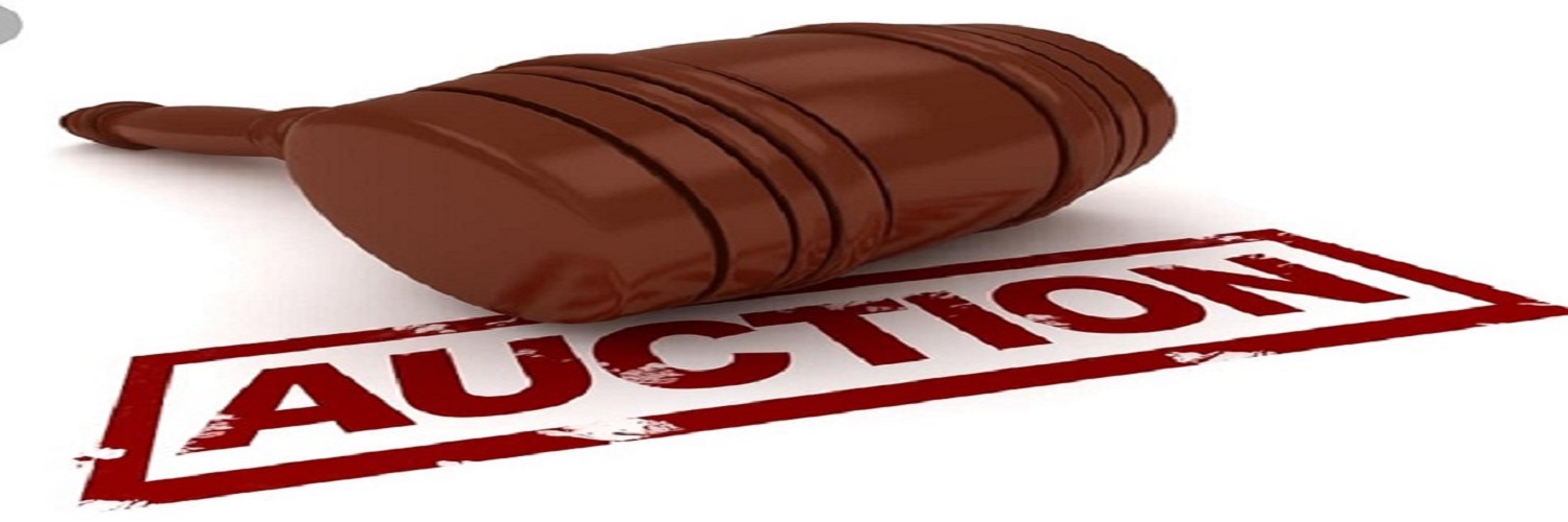 Robertsons Auction Company | auction