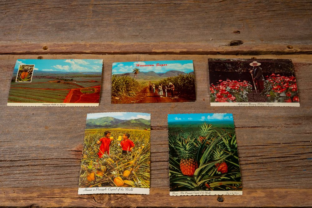Lot 176: Vintage Hawaii Agriculture Postcards
