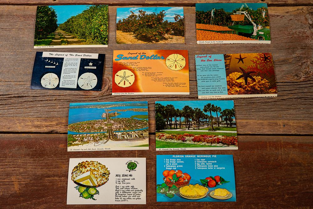 Lot 180: Vintage Florida Postcard Lot