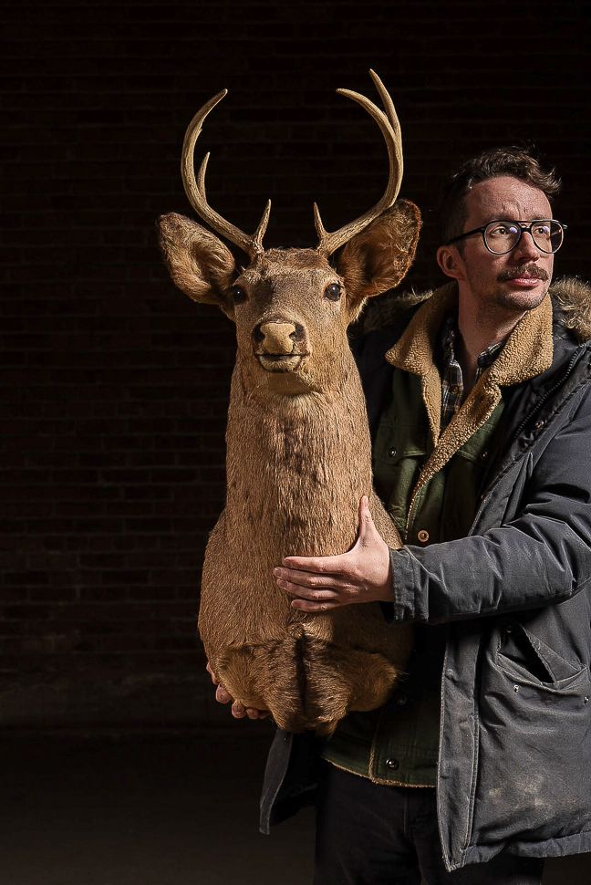 Lot 250: Taxidermy Deer Shoulder Mount