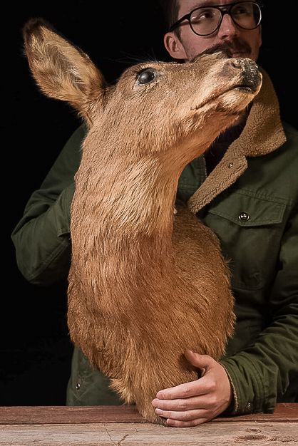 Lot 379: Taxidermy White-Tailed Deer Shoulder Mount