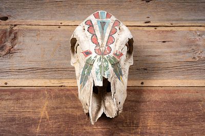 Painted Cattle Skull Decor. C-20743 Animal steer skull with hand-painted polychrome decoration 