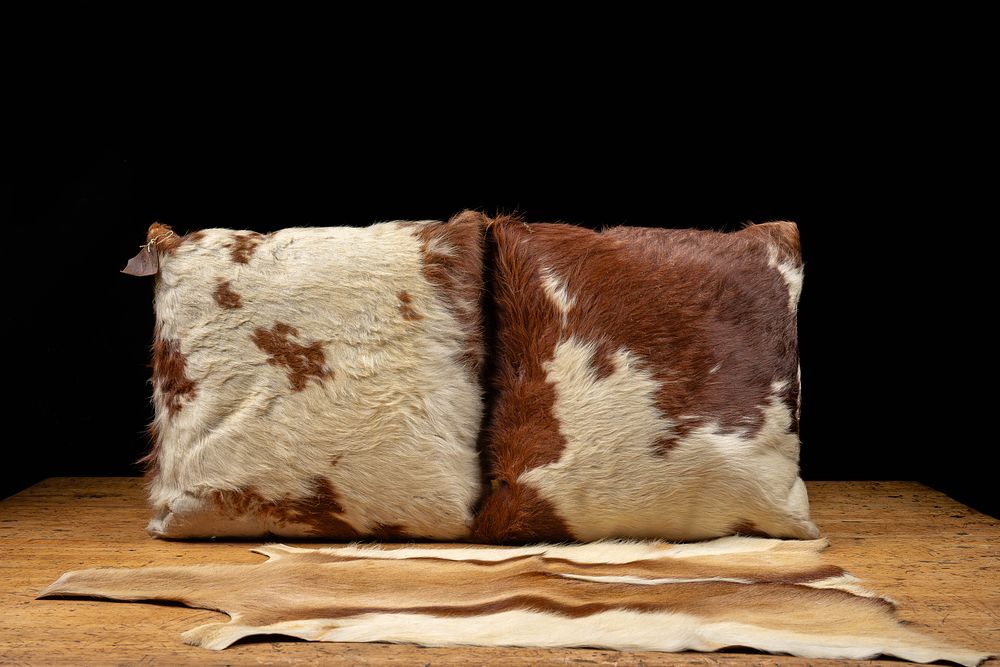 Lot 35: W.A. Foster Steerhide Pillows and Deer Pelt