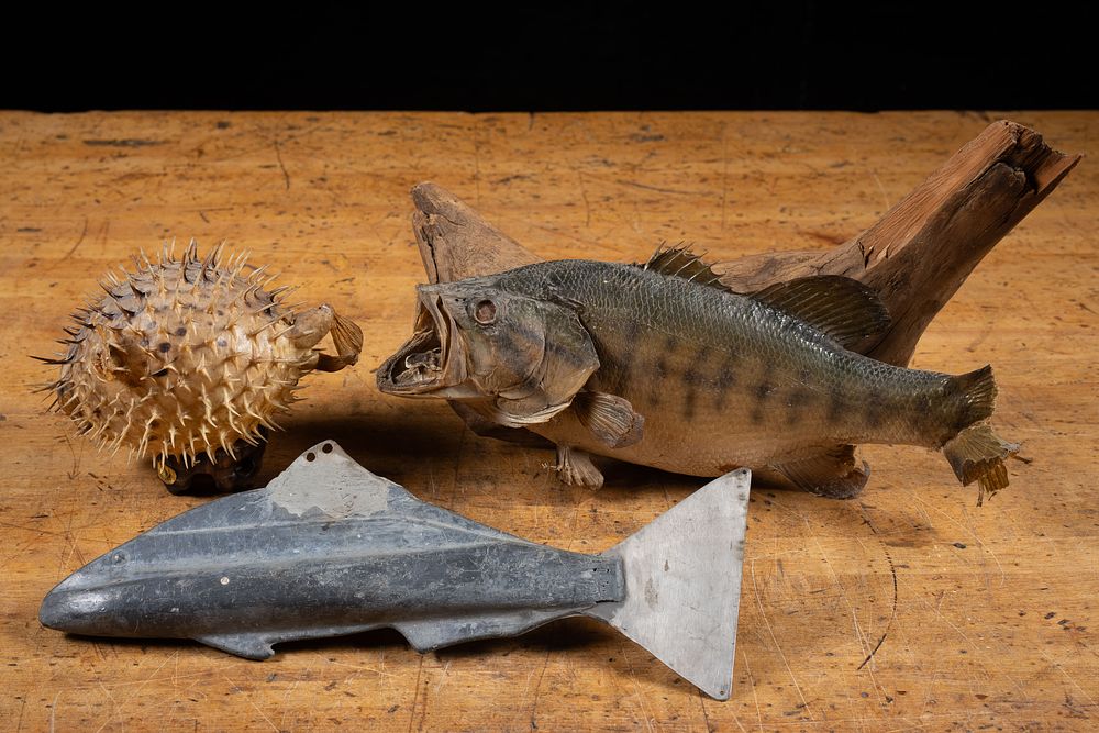 Lot 324: Vintage Taxidermy Fish and Decoy Weight Lot