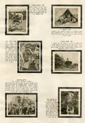 Pictures According to the Times of Israel Sticker Album Printed by Haaretz Printing, the 