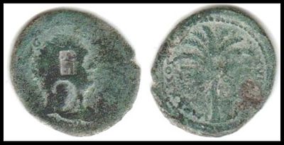 THE JUDAEA CAPTA coins STRUCK 92/93 CE. 
1458. ΑΕ 26-28 mm. 154.33g. 
Obv: IMP CAES 