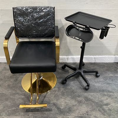 * Professional Salon Equipment comprising of a Hydraulic Styling Chair and a Mobile 